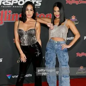 The Bella Twins: / Nikki Bella & Brie Bella / thenikkibella фото голая #0170