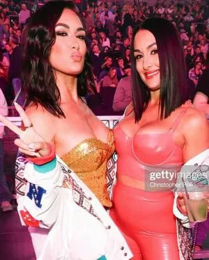 The Bella Twins: / Nikki Bella & Brie Bella / thenikkibella фото голая #0172