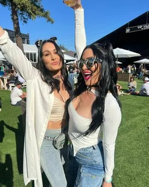 The Bella Twins: / Nikki Bella & Brie Bella / thenikkibella фото голая #0198