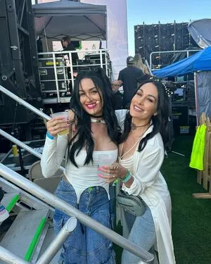 The Bella Twins: / Nikki Bella & Brie Bella / thenikkibella фото голая #0199