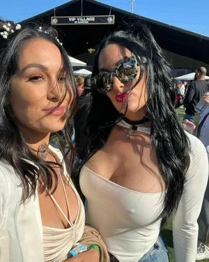 The Bella Twins: / Nikki Bella & Brie Bella / thenikkibella фото голая #0200