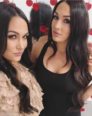 The Bella Twins: / Nikki Bella & Brie Bella / thenikkibella фото голая #0207