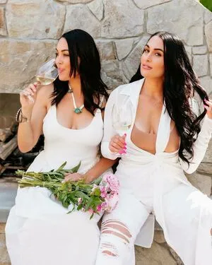 The Bella Twins: / Nikki Bella & Brie Bella / thenikkibella фото голая #0228