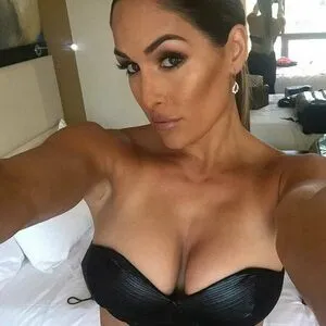 The Bella Twins: / Nikki Bella & Brie Bella / thenikkibella фото голая #0231