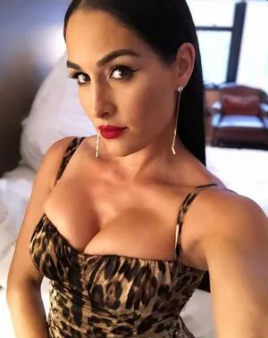 The Bella Twins: / Nikki Bella & Brie Bella / thenikkibella фото голая #0249