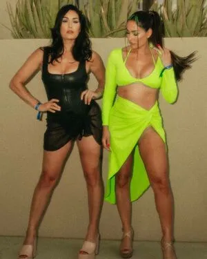 The Bella Twins: / Nikki Bella & Brie Bella / thenikkibella фото голая #0292