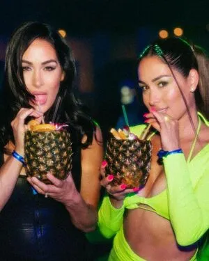 The Bella Twins: / Nikki Bella & Brie Bella / thenikkibella фото голая #0299