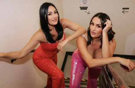 The Bella Twins: / Nikki Bella & Brie Bella / thenikkibella фото голая #0327