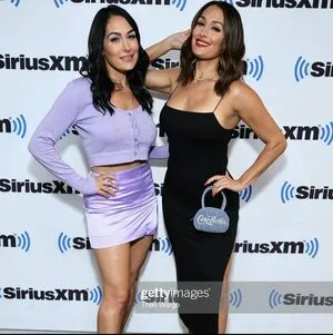 The Bella Twins: / Nikki Bella & Brie Bella / thenikkibella фото голая #0333