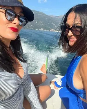 The Bella Twins: / Nikki Bella & Brie Bella / thenikkibella фото голая #0420