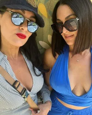 The Bella Twins: / Nikki Bella & Brie Bella / thenikkibella фото голая #0422