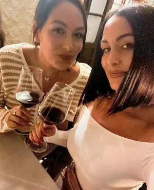 The Bella Twins: / Nikki Bella & Brie Bella / thenikkibella фото голая #0439