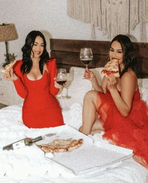 The Bella Twins: / Nikki Bella & Brie Bella / thenikkibella фото голая #0451