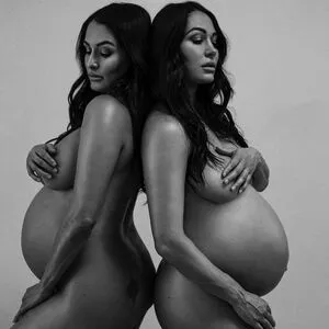 The Bella Twins: / Nikki Bella & Brie Bella / thenikkibella nude photo #0471