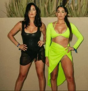 The Bella Twins: / Nikki Bella & Brie Bella / thenikkibella фото голая #0484