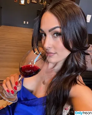 The Bella Twins: / Nikki Bella & Brie Bella / thenikkibella nude photo #0657