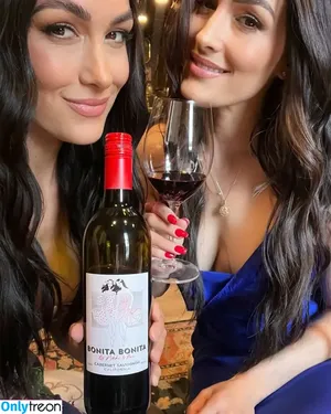 The Bella Twins: / Nikki Bella & Brie Bella / thenikkibella nude photo #0660