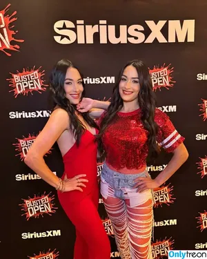 The Bella Twins: / Nikki Bella & Brie Bella / thenikkibella nude photo #0665