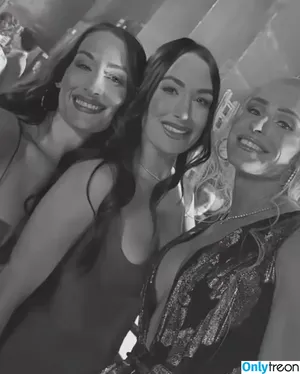 The Bella Twins: / Nikki Bella & Brie Bella / thenikkibella nude photo #0677