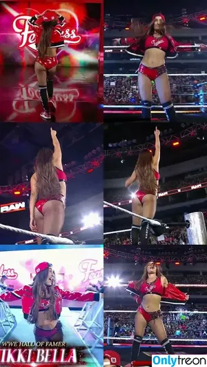 The Bella Twins: / Nikki Bella & Brie Bella / thenikkibella nude photo #0779