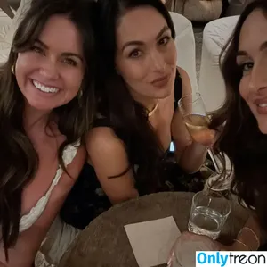 The Bella Twins: / Nikki Bella & Brie Bella / thenikkibella фото голая #0829