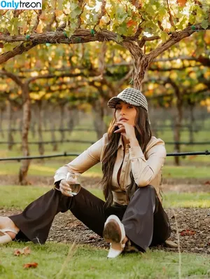 The Bella Twins: / Nikki Bella & Brie Bella / thenikkibella фото голая #0836