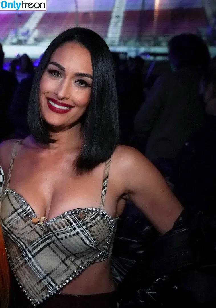 The Bella Twins: голая photo #0048 (Nikki Bella & Brie Bella / thenikkibella)