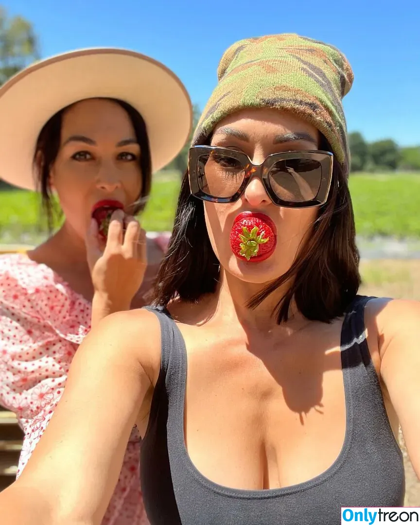 The Bella Twins: голая photo #0061 (Nikki Bella & Brie Bella / thenikkibella)