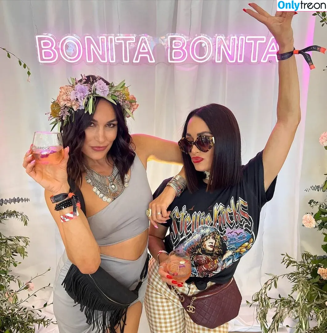 The Bella Twins: голая photo #0071 (Nikki Bella & Brie Bella / thenikkibella)