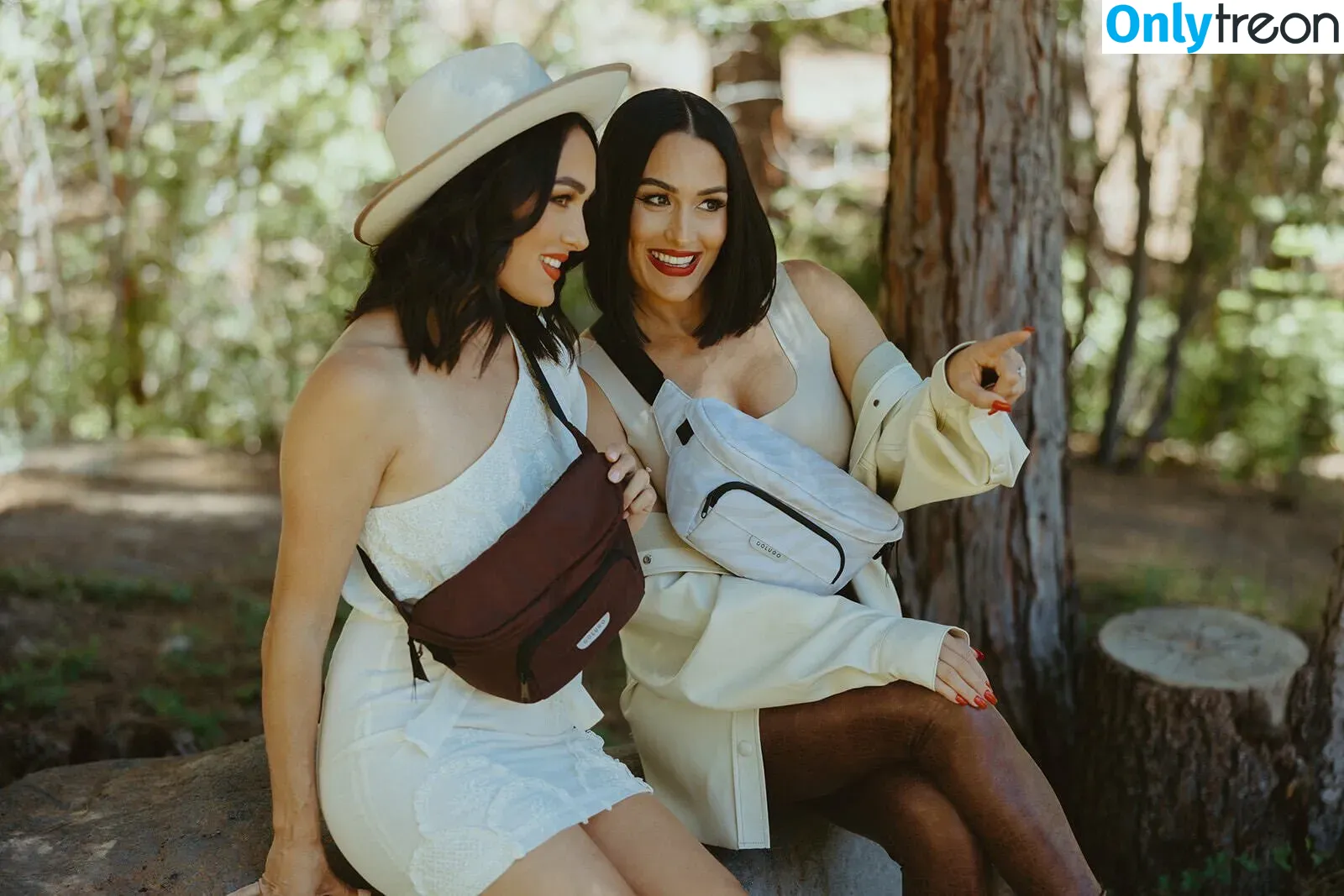 The Bella Twins: голая photo #0099 (Nikki Bella & Brie Bella / thenikkibella)