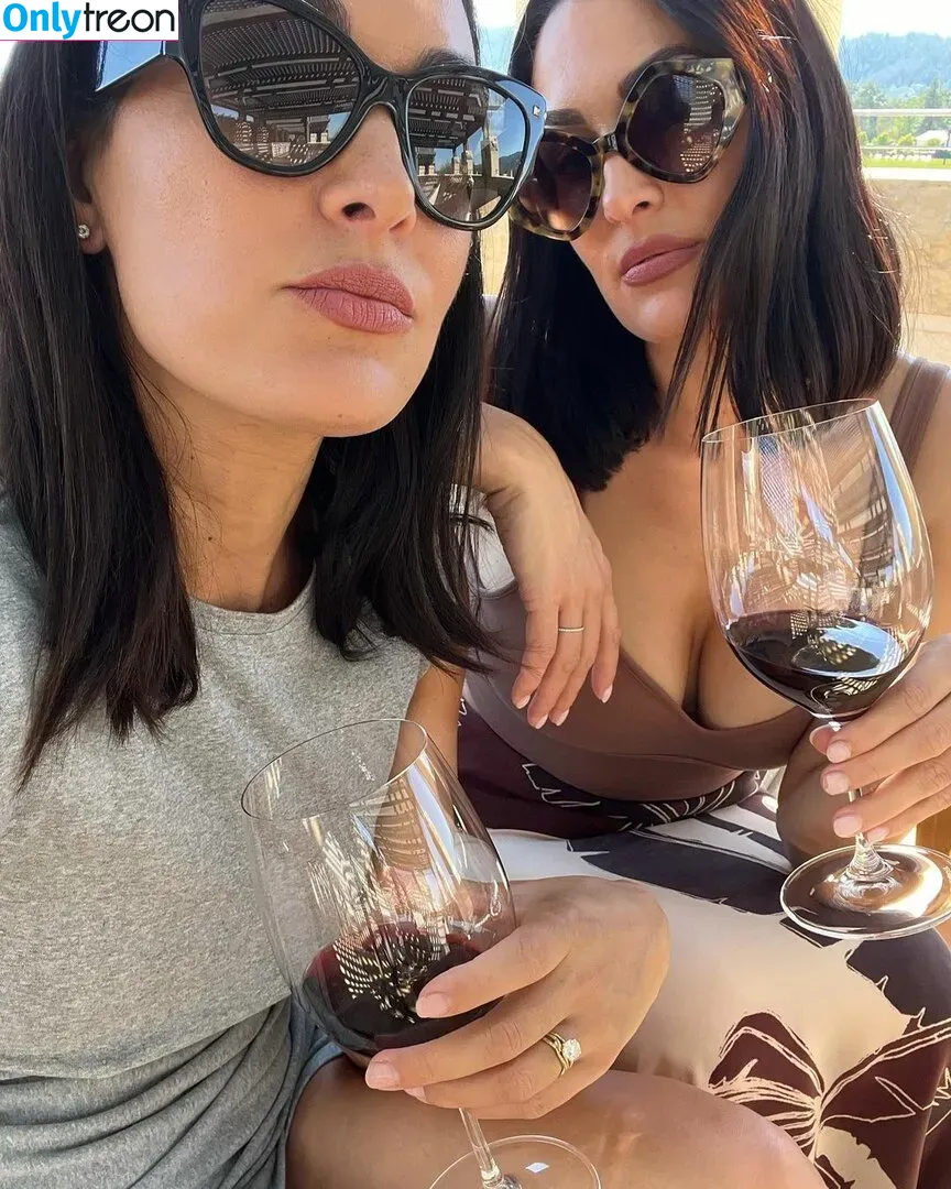 The Bella Twins: голая photo #0129 (Nikki Bella & Brie Bella / thenikkibella)