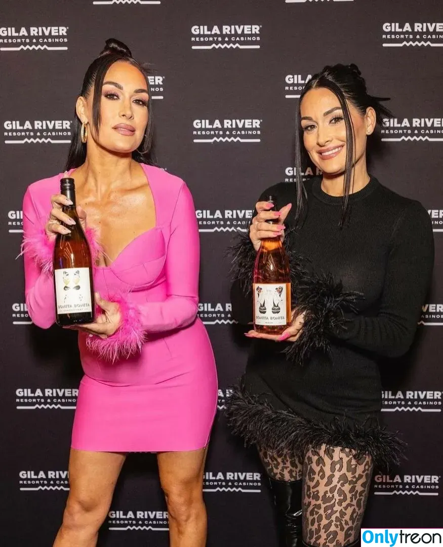 The Bella Twins: голая photo #0162 (Nikki Bella & Brie Bella / thenikkibella)