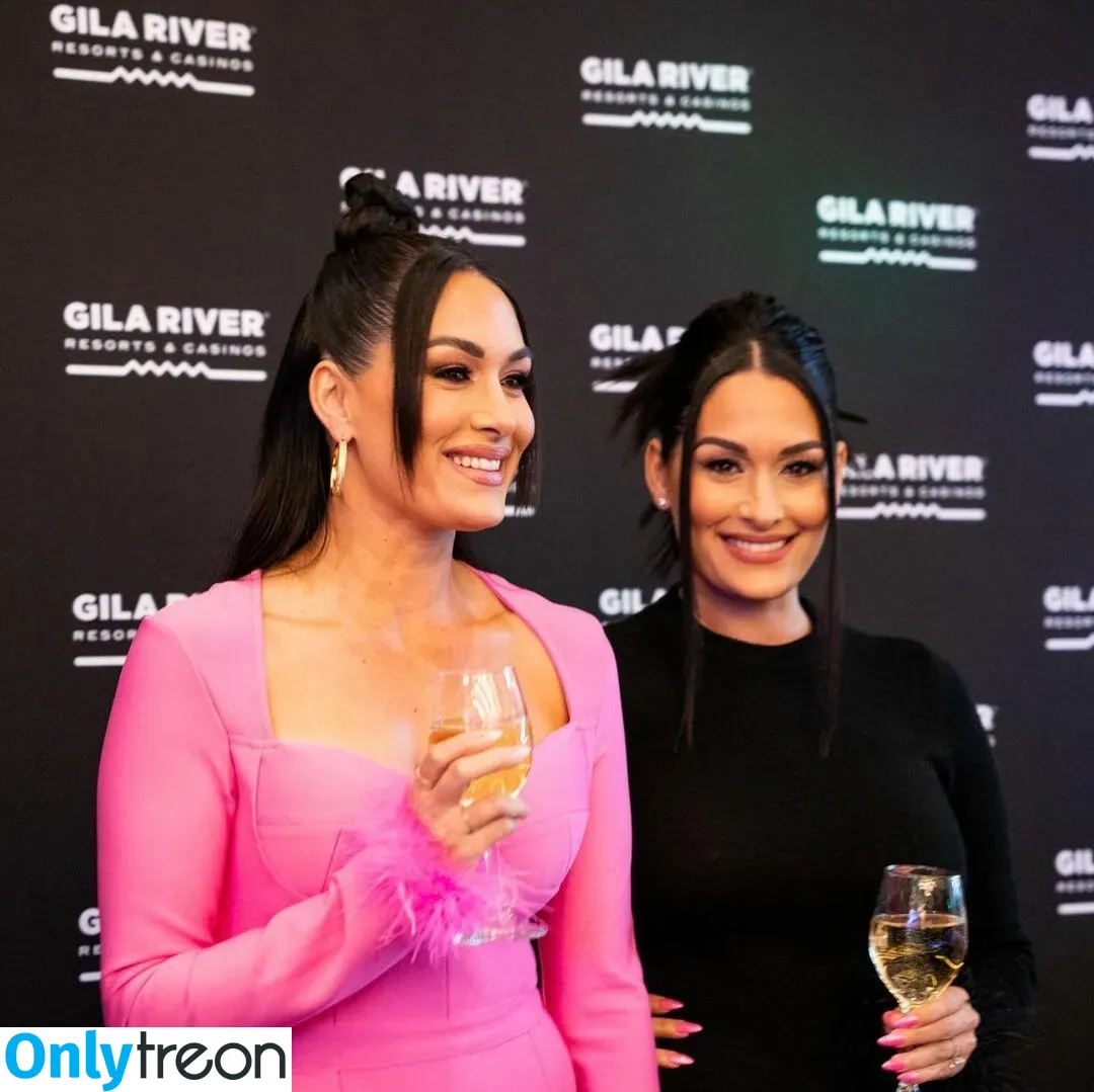 The Bella Twins: голая photo #0164 (Nikki Bella & Brie Bella / thenikkibella)