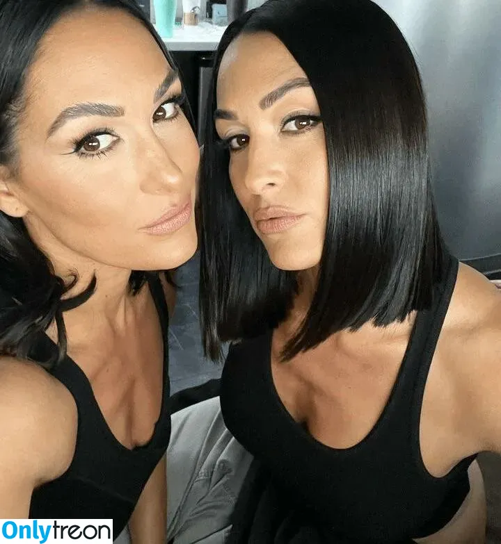 The Bella Twins: голая photo #0168 (Nikki Bella & Brie Bella / thenikkibella)