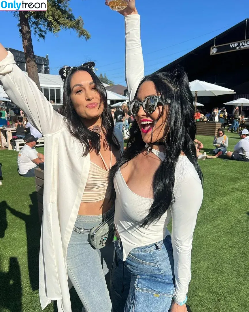 The Bella Twins: голая photo #0198 (Nikki Bella & Brie Bella / thenikkibella)