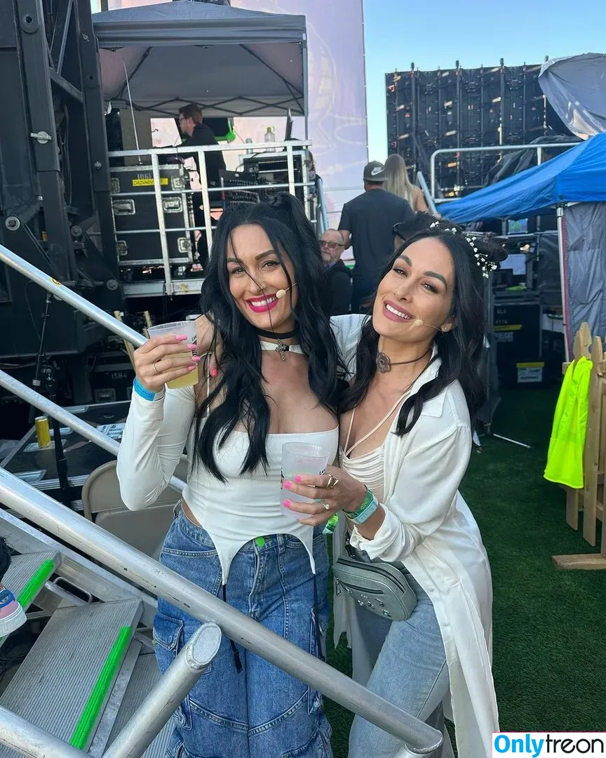 The Bella Twins: голая photo #0199 (Nikki Bella & Brie Bella / thenikkibella)