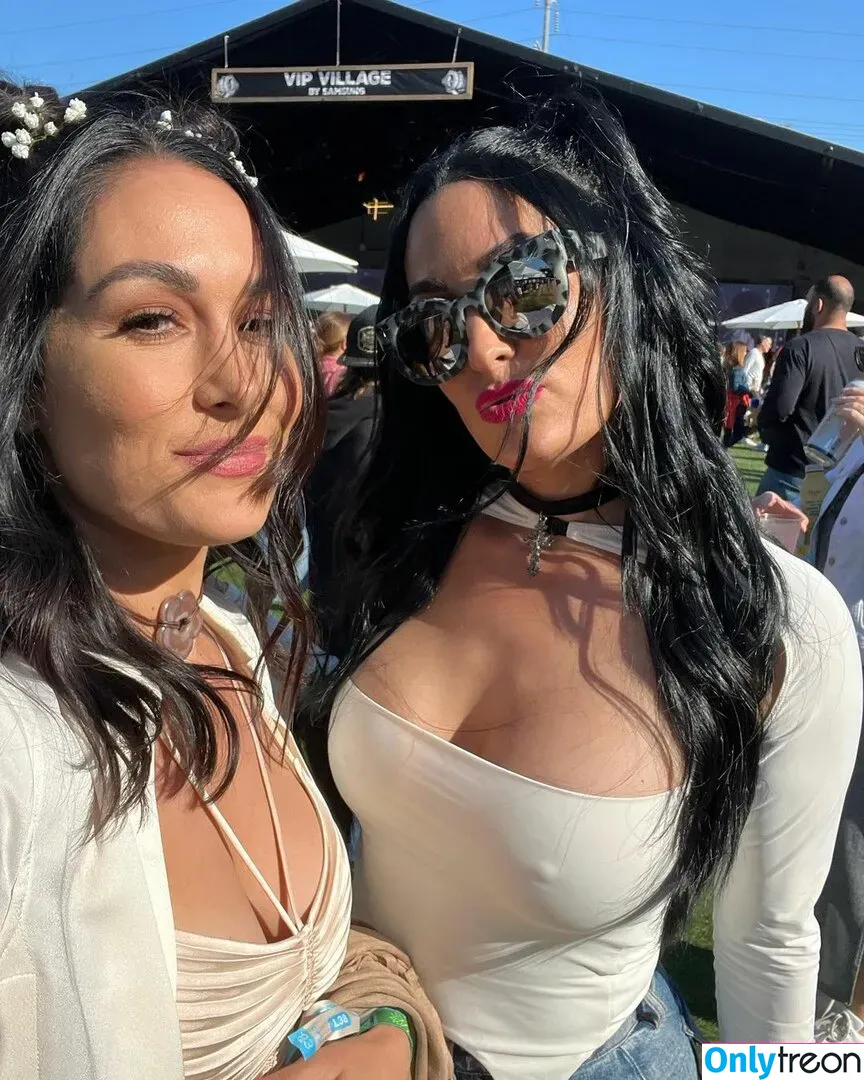 The Bella Twins: голая photo #0200 (Nikki Bella & Brie Bella / thenikkibella)