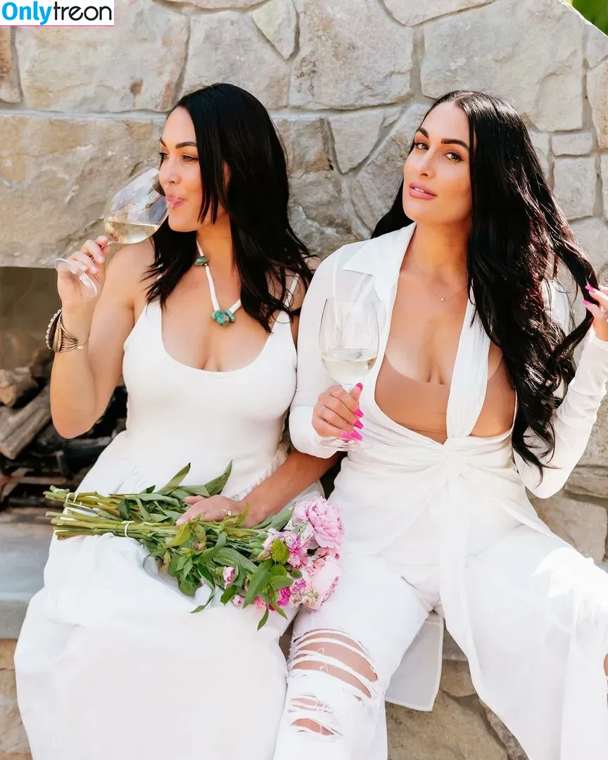 The Bella Twins: голая photo #0228 (Nikki Bella & Brie Bella / thenikkibella)