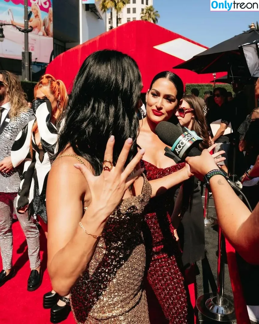 The Bella Twins: голая photo #0244 (Nikki Bella & Brie Bella / thenikkibella)