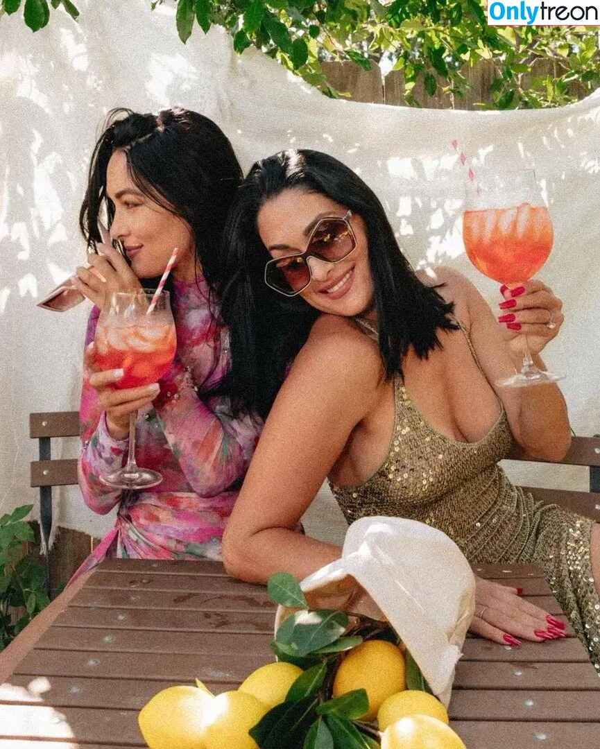 The Bella Twins: голая photo #0280 (Nikki Bella & Brie Bella / thenikkibella)