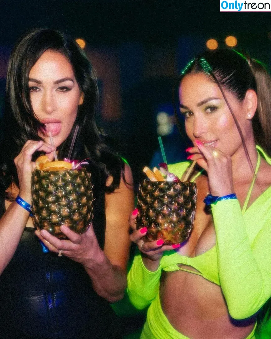 The Bella Twins: голая photo #0299 (Nikki Bella & Brie Bella / thenikkibella)