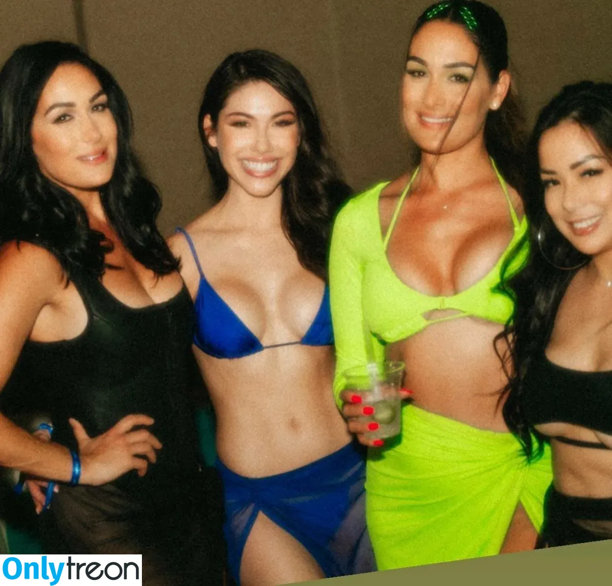 The Bella Twins: голая photo #0301 (Nikki Bella & Brie Bella / thenikkibella)