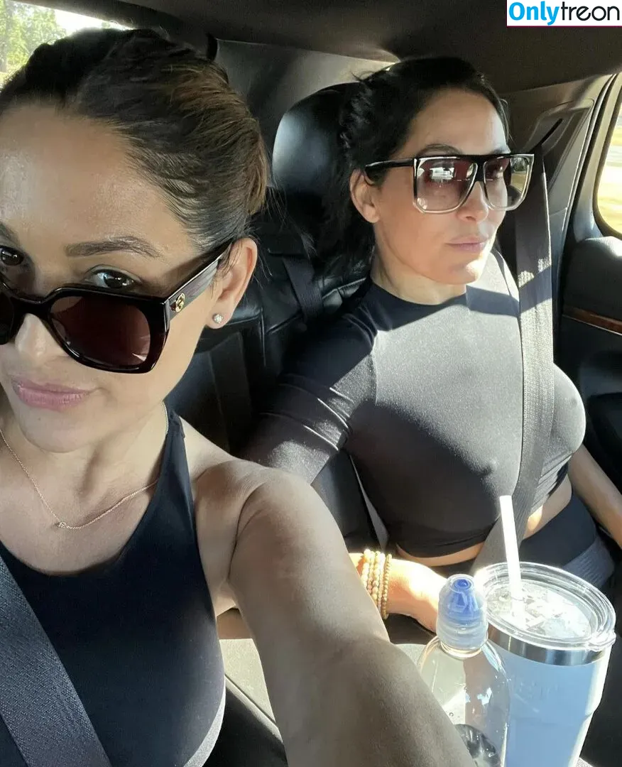 The Bella Twins: голая photo #0324 (Nikki Bella & Brie Bella / thenikkibella)