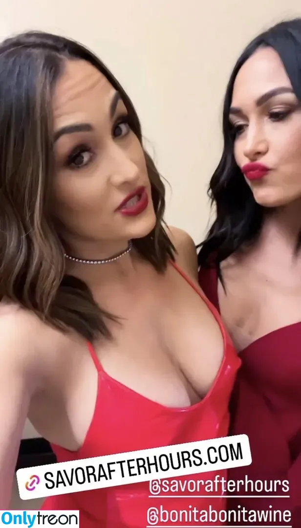 The Bella Twins: голая photo #0326 (Nikki Bella & Brie Bella / thenikkibella)