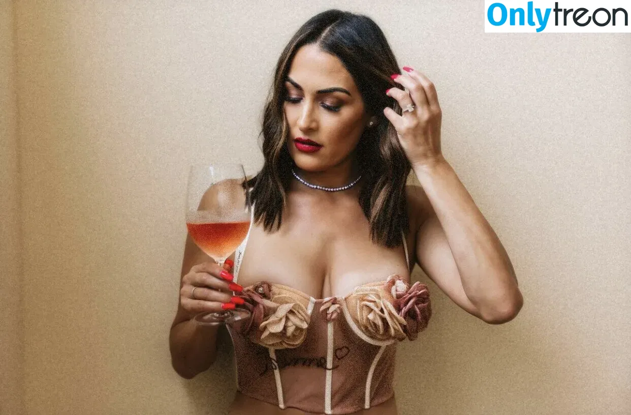 The Bella Twins: голая photo #0362 (Nikki Bella & Brie Bella / thenikkibella)