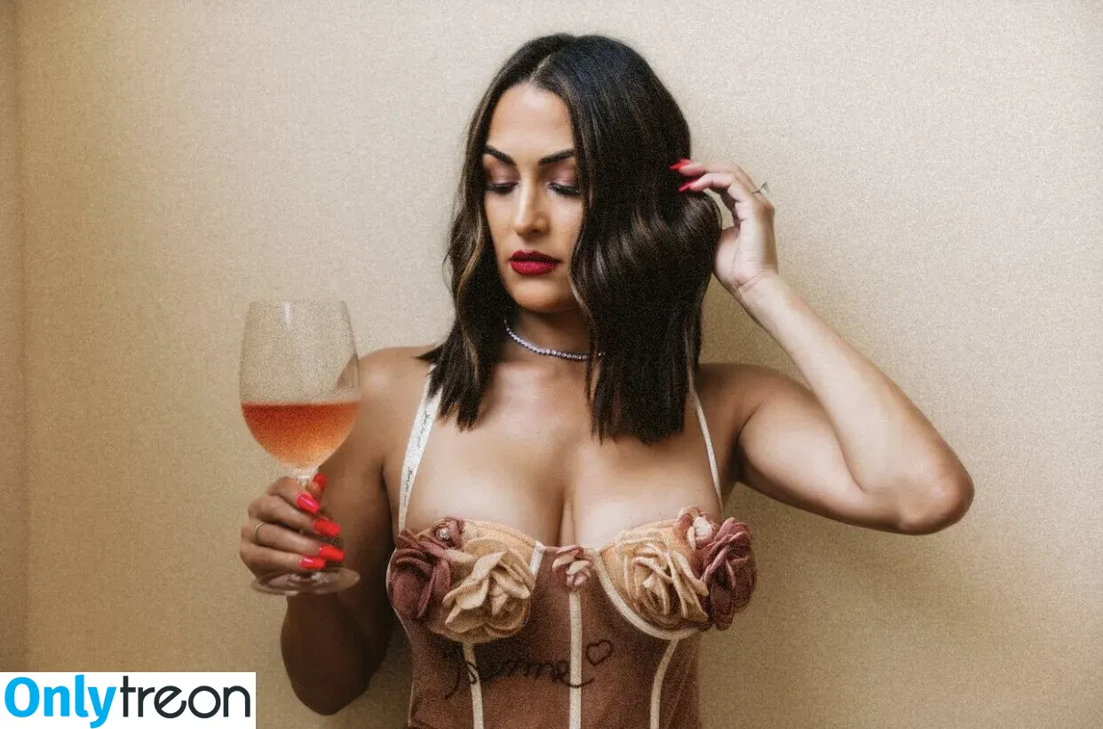 The Bella Twins: голая photo #0363 (Nikki Bella & Brie Bella / thenikkibella)