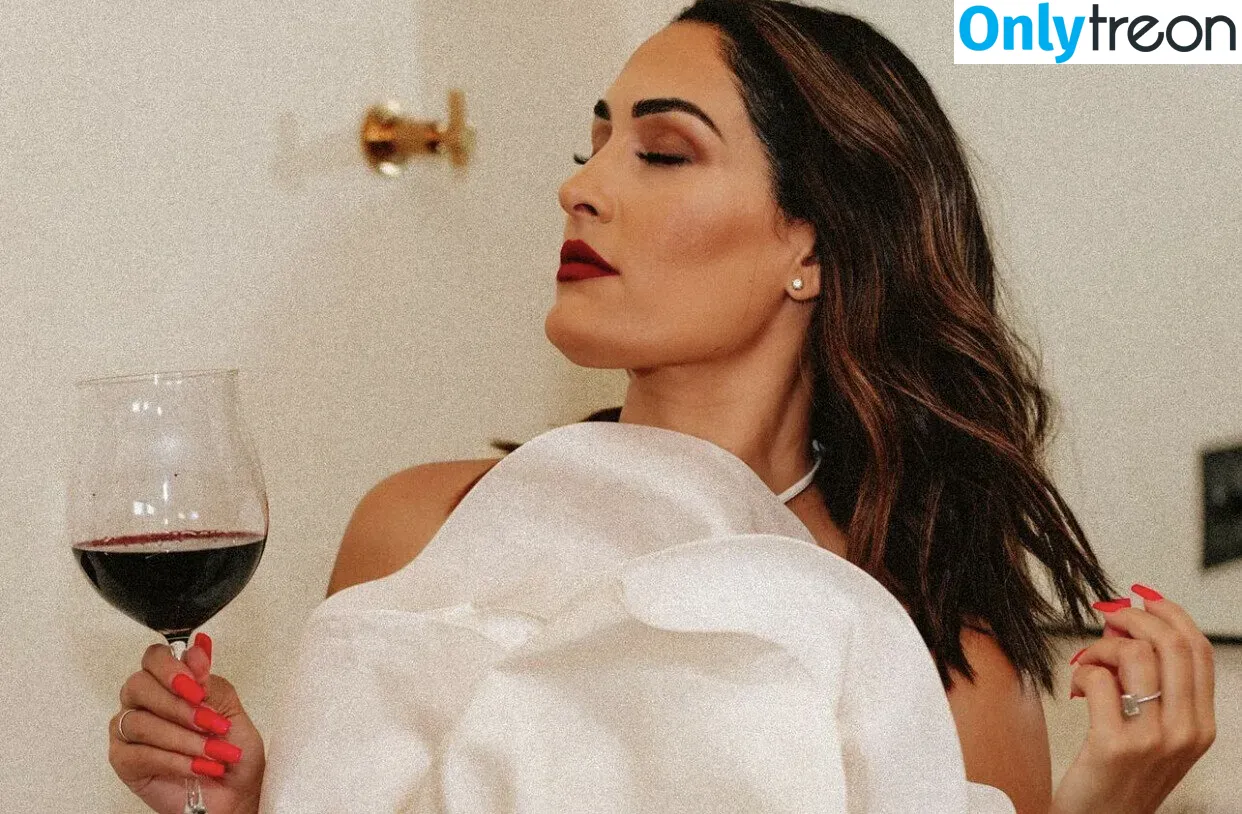 The Bella Twins: голая photo #0378 (Nikki Bella & Brie Bella / thenikkibella)