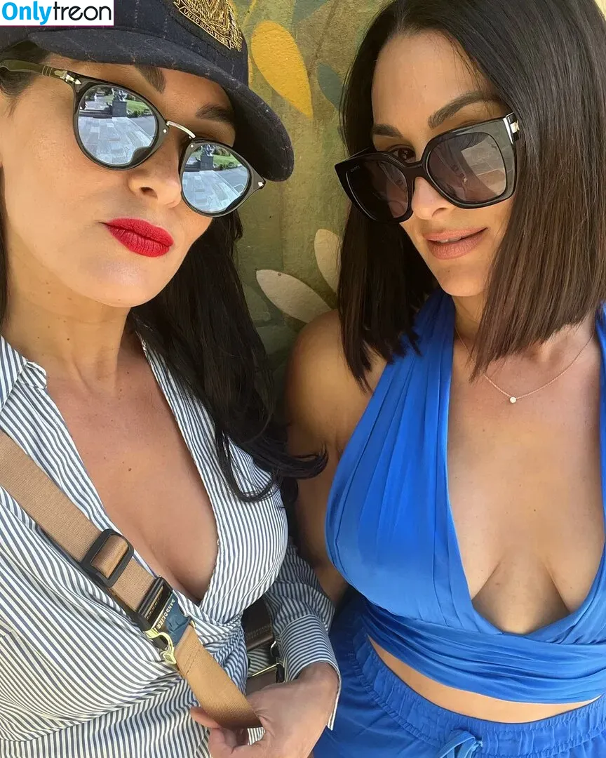 The Bella Twins: голая photo #0422 (Nikki Bella & Brie Bella / thenikkibella)