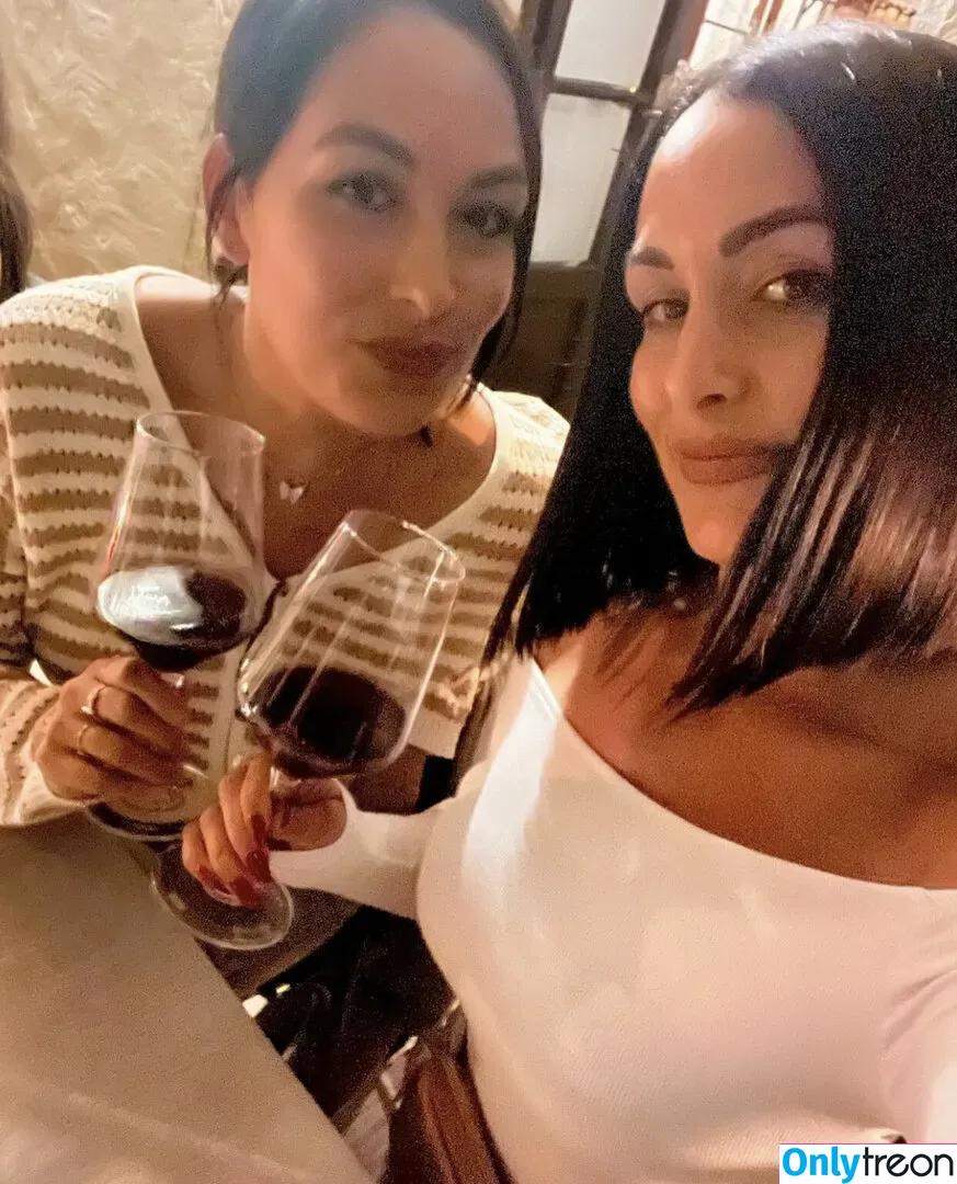 The Bella Twins: голая photo #0439 (Nikki Bella & Brie Bella / thenikkibella)