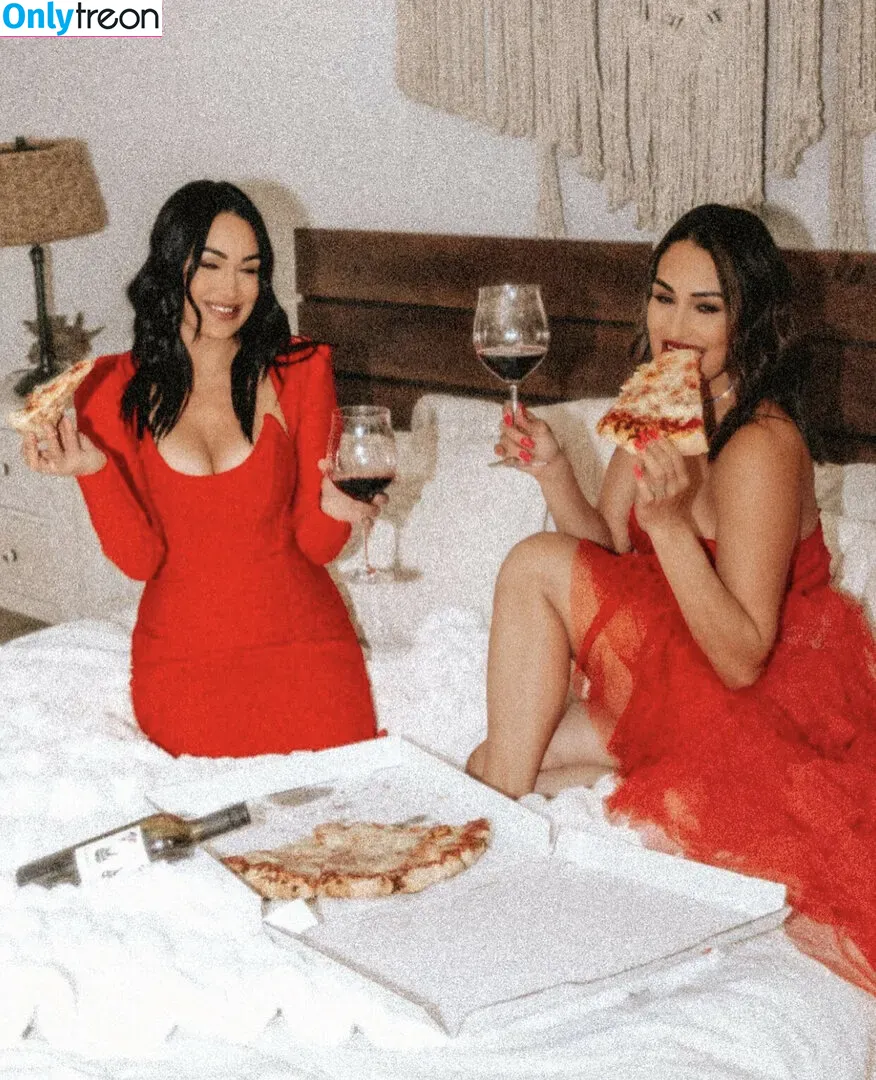 The Bella Twins: голая photo #0451 (Nikki Bella & Brie Bella / thenikkibella)